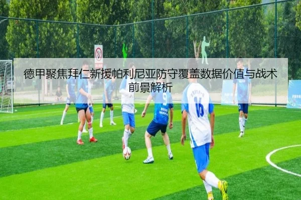 德甲聚焦拜仁新援帕利尼亚防守覆盖数据价值与战术前景解析