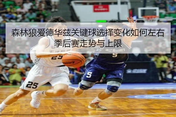 森林狼爱德华兹关键球选择变化如何左右季后赛走势与上限