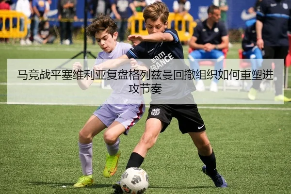 img_1783327415461_551_1_500.jpg